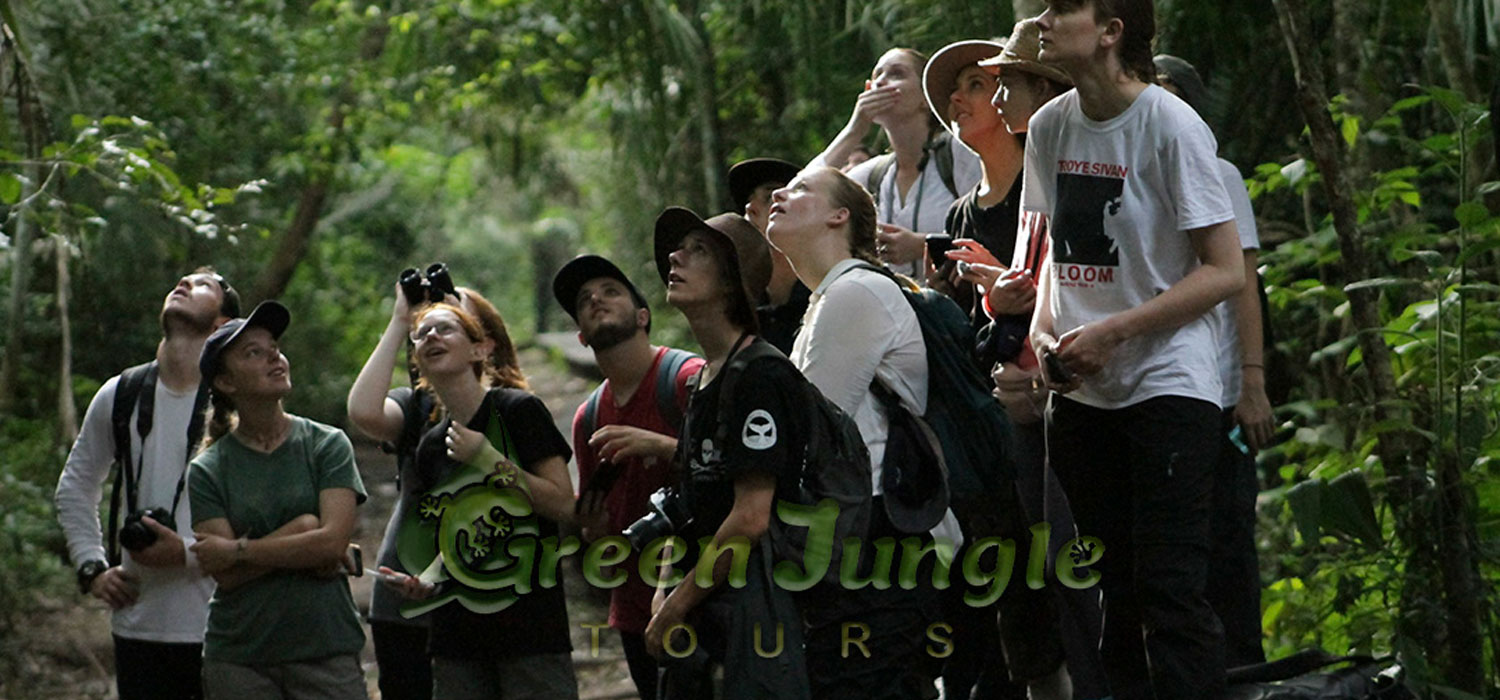 Green Jungle Tours