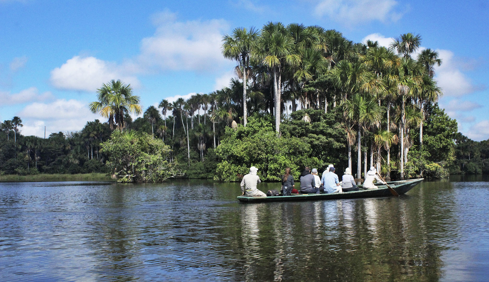 Green Jungle Tours