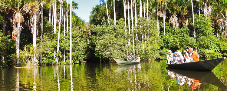 sandoval lake tour