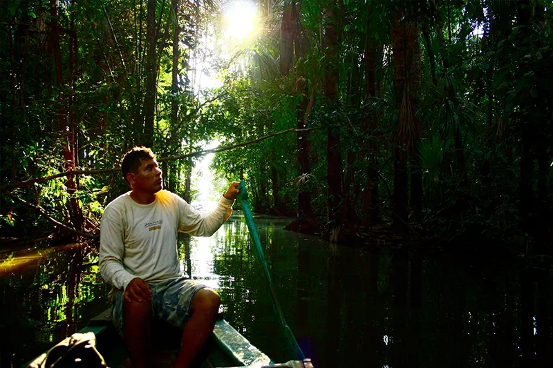 Sandoval Lake: Amazon Oasis